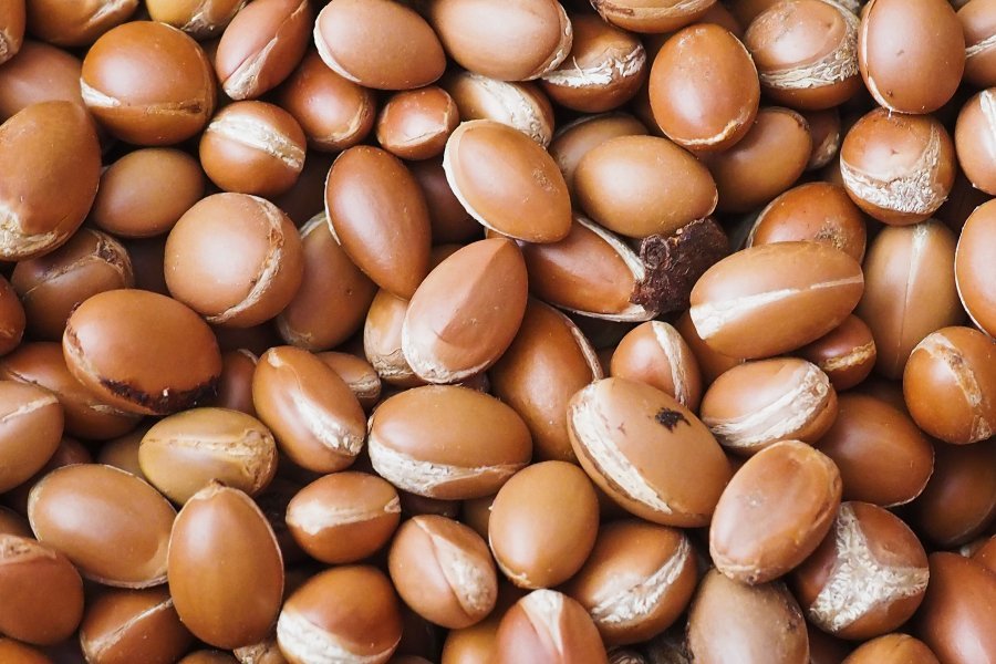 All About the Liquid Gold of Skincare: Argan Oil - Hudson Valley Skin Care