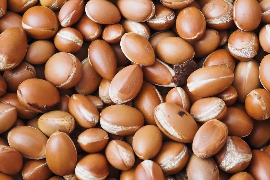 All About the Liquid Gold of Skincare: Argan Oil