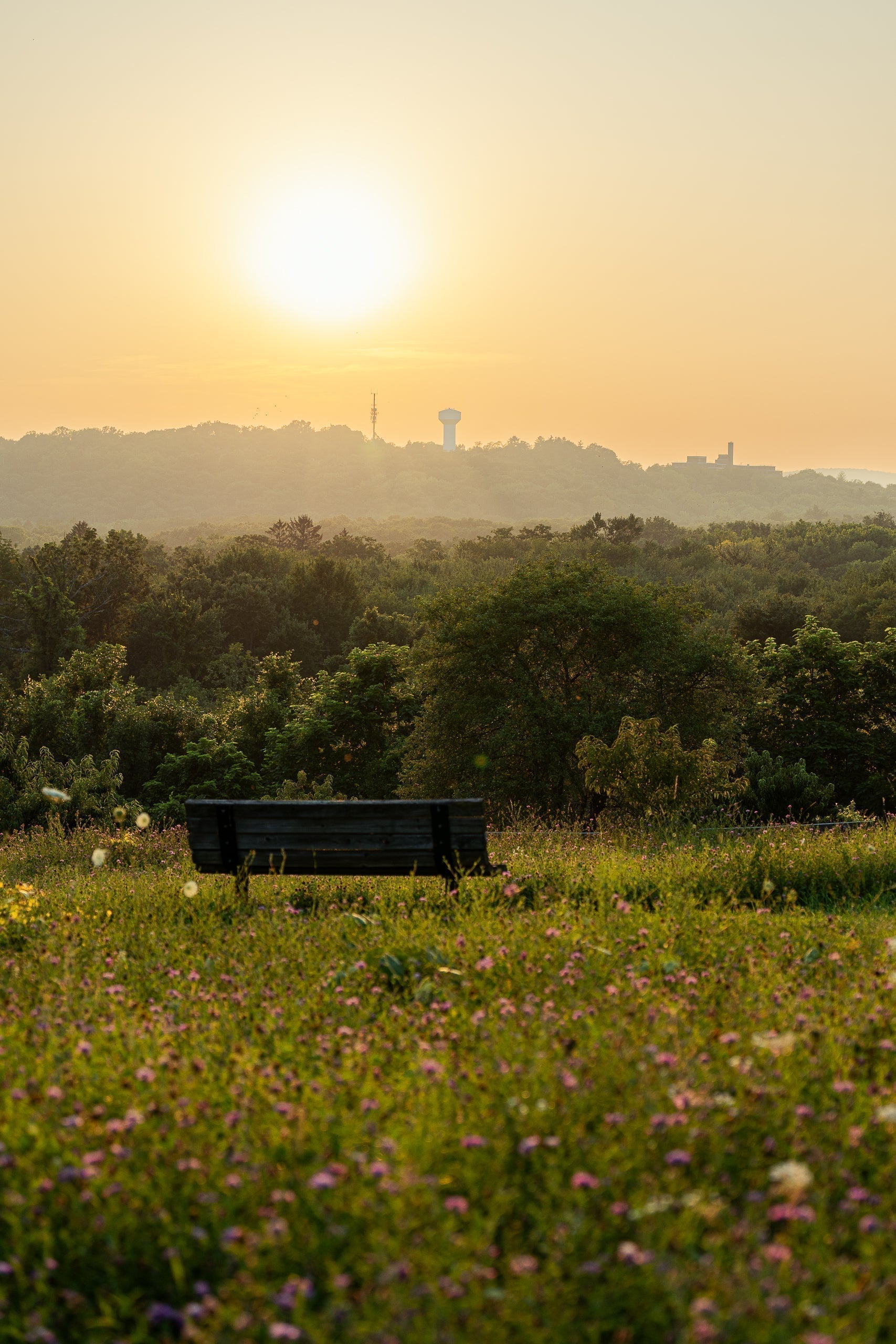 Tick Season in the Hudson Valley & How to Prepare