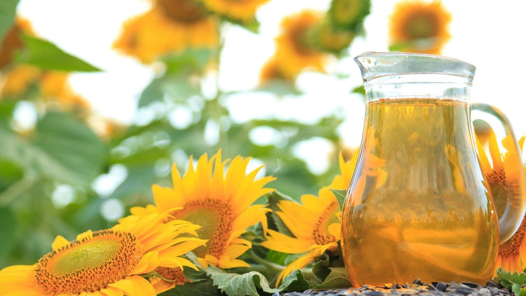 How Sunflower Seed Oil Can Benefit Your Skin - Hudson Valley Skin Care