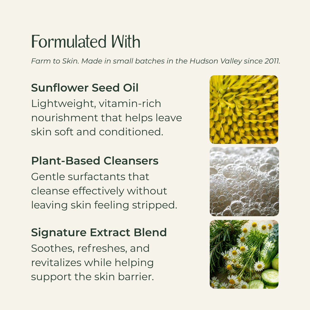 An informational marketing graphic on a warm off-white background titled 'Formulated With' listing key ingredients and benefits: Sunflower Seed Oil, Plant-Based Cleansers, and Signature Extract Blend, with small ingredient photos on the right.