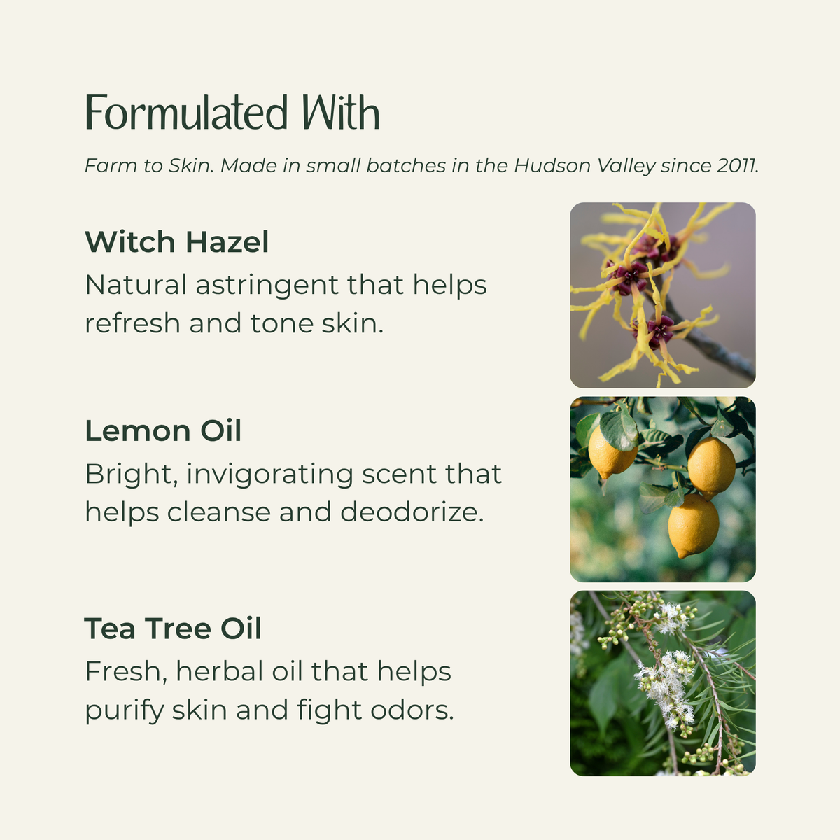 Foot freshener spray ingredients: Witch Hazel, Lemon Oil, and Tea Tree Oil