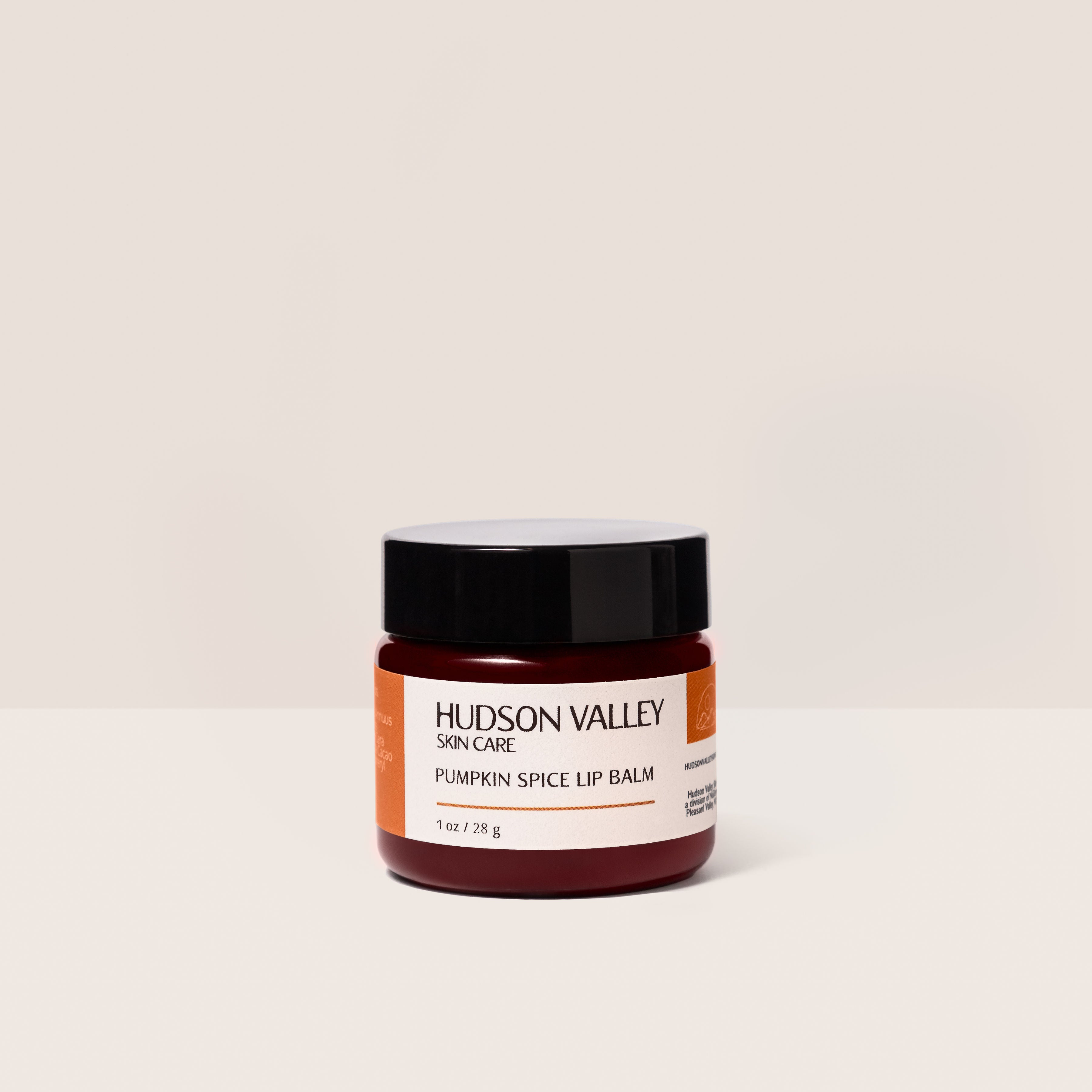 Pumpkin Spice Lip Balm