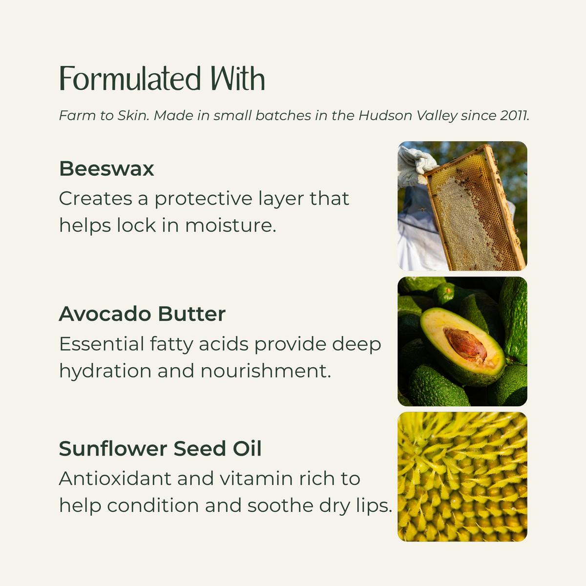 Lip balm ingredients: Beeswax, Avocado Butter, and Sunflower Seed Oil