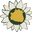 Hudson Valley Skin Care logo