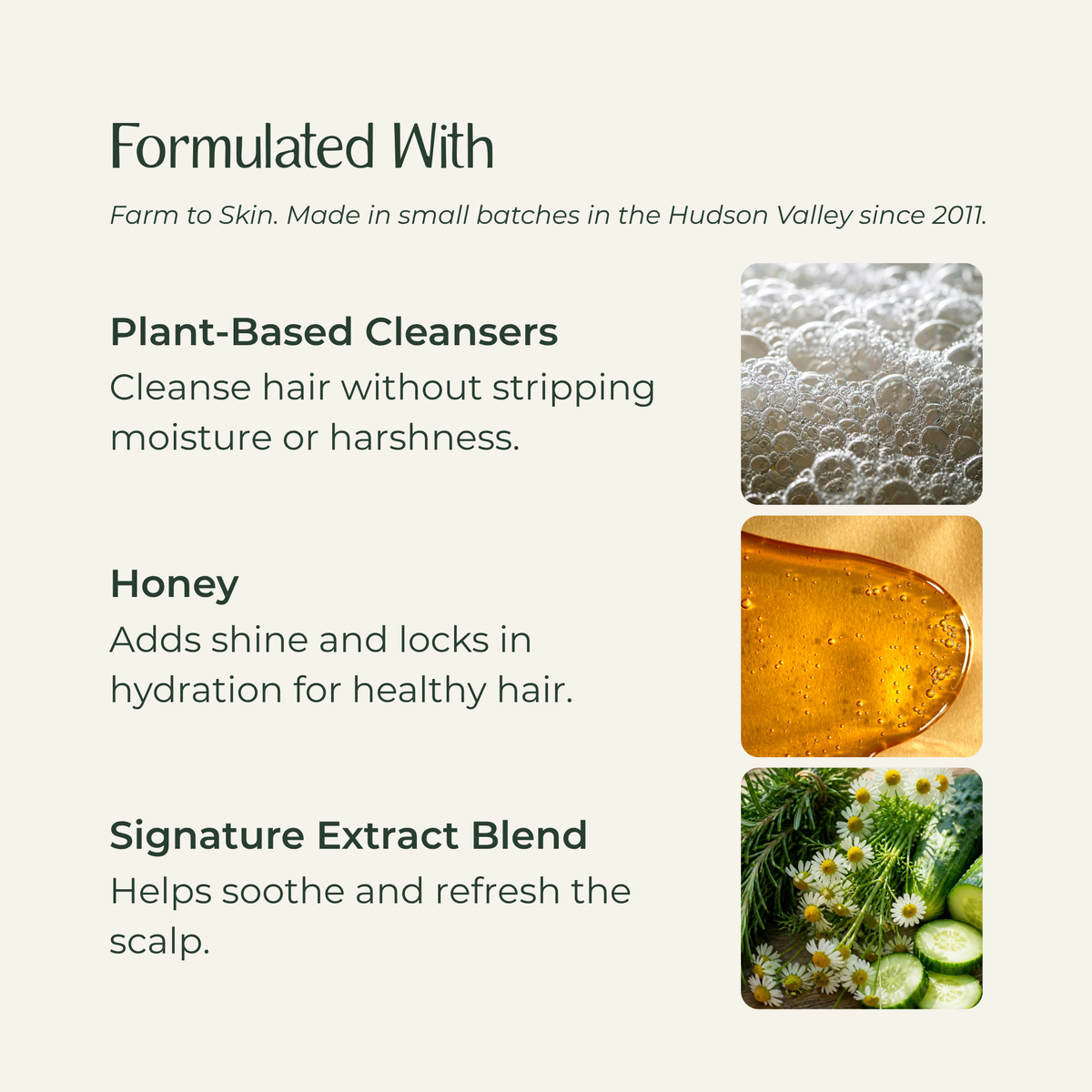 Shampoo ingredients: Honey, plant-based cleansers, and Signature Extract Blend