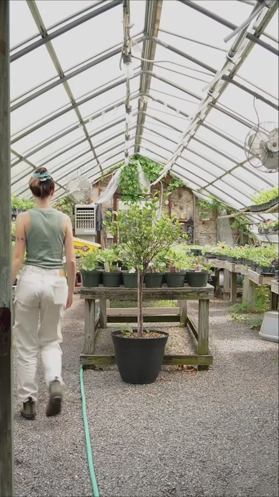 Load video: Gardener's Try-me Gift Bag