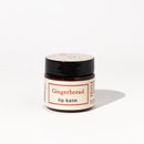 Gingerbread Lip Balm - Hudson Valley Skin Care