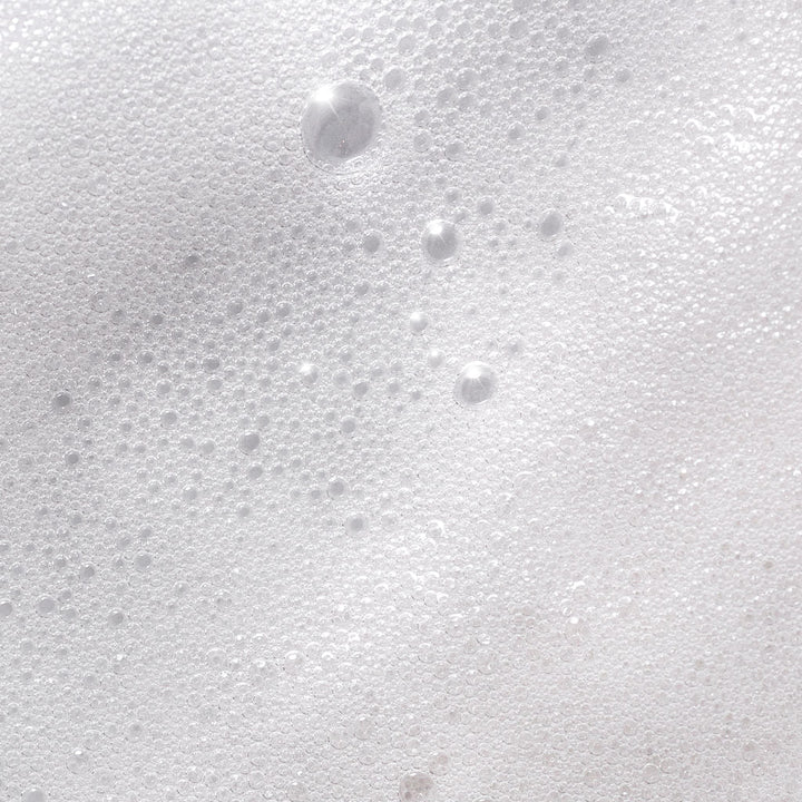 Lemon Peppermint | Foaming Hand Soap - Hudson Valley Skin Care